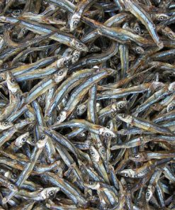 rất nhiều cá duội, cá khô