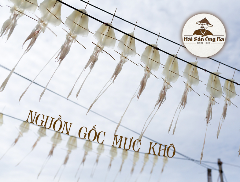 phơi mực, ngoài trời, bầu trời