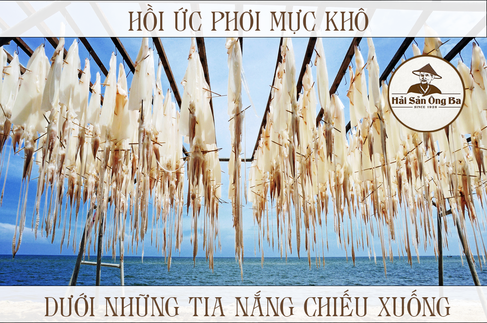 giàn mực khô phơi ngoài trời nắng, bãi biển,