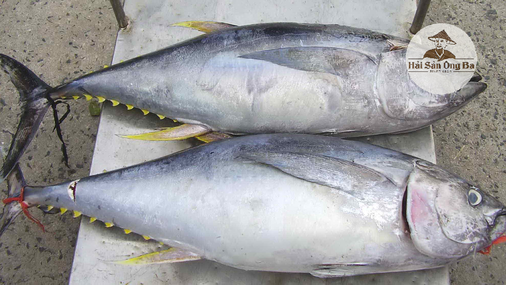 6 loại hải sản, đặc sản biển ngon nhất ở Việt Nam được kỷ lục ghi nhận