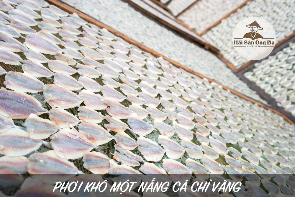 cá chỉ vàng đặt trên phiên phơi ngoài trời nắng, cá chỉ vàng khô 