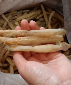 Sá sùng khô, tay cầm sá sùng khô