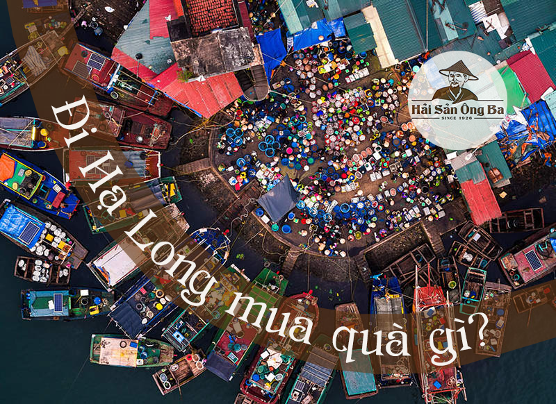 Địa điểm mua bán, Hạ Long
